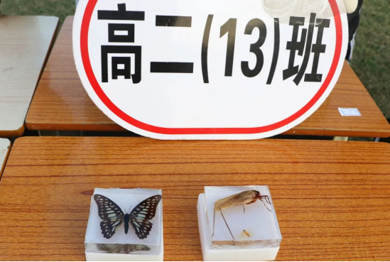 ��r(sh��)犣� ��(chu��ng)�����M(j��n) �Ƽ���(qi��ng)��(gu��)