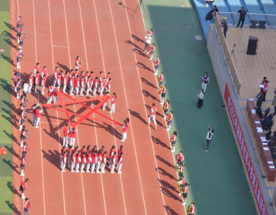 �(y��ng)�⽡�w����(qi��ng)��(gu��)���ҡ����V�����ֹ��(y��ng)�h�t܊С�W(xu��)�������\(y��n)��(d��ng)��(hu��)