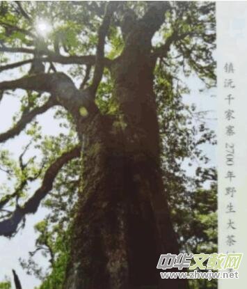 ���t(y��)ͨ����δ��  ˎʳͬԴ����L(zh��ng)   ����ꐌ������t(y��)�о�Ժ����ꐌ��� Ժ�L(zh��ng)