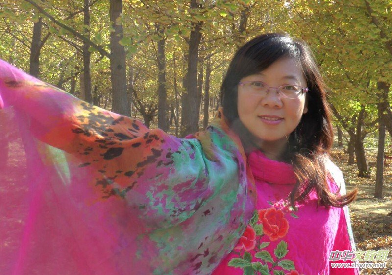 2024��Ц��������������Ԋ�~�W(w��ng)�j(lu��)չ