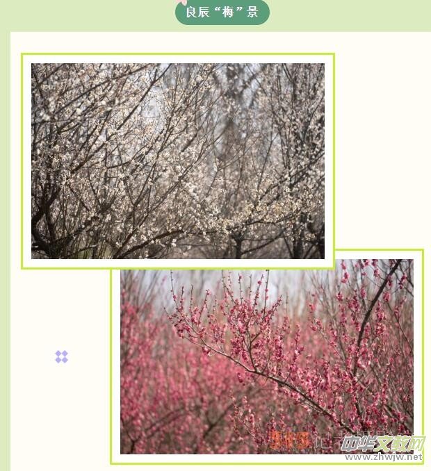 ɭ��֮�� �������� | �ڶ����������껨ľ��(ji��)����ʢ���_Ļ