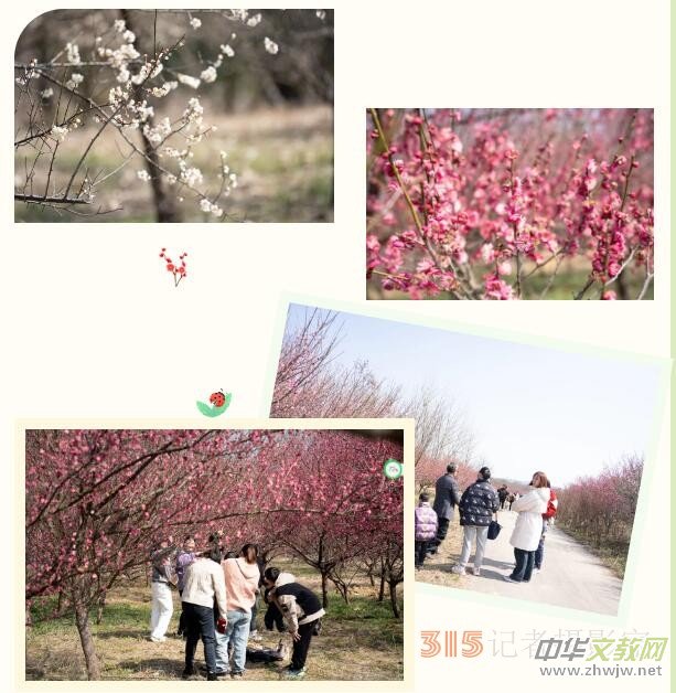 ɭ��֮�� �������� | �ڶ����������껨ľ��(ji��)����ʢ���_Ļ