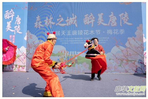 ɭ��֮�� �������� | �ڶ����������껨ľ��(ji��)����ʢ���_Ļ