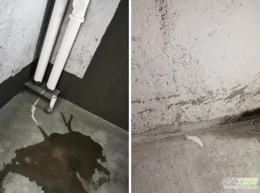 �_Ԫ������I(y��)�ԘI(y��)�������ģ������Ʒ�|(zh��)����(w��)