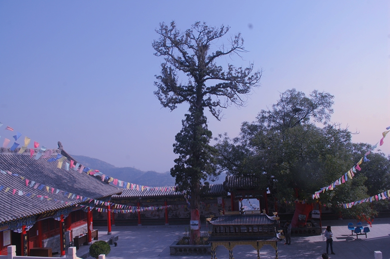 Ԋ(sh��)��̌W(xu��):���Ϙ䡷��Ů�������ӡ��� �l(xi��ng)������¡��̰�