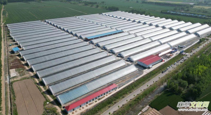 ɽ�|ʡ����h�ڶ����{ݮ��ժ��(ji��)���ͽ��e��