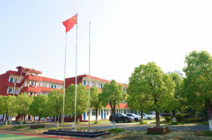 ���ć�ץ�̌W���������M�̌W�|����(w��n)������