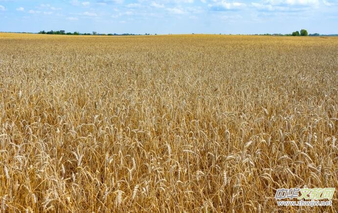 Ц��Ԋ(sh��)�裺���£����l(xi��ng)����������(����)