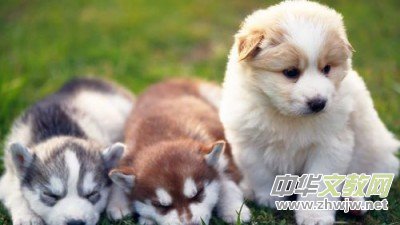 90��00�����p�˲�ϲ�g���Ԓ���V�����N�Ԓ����Ҫ ���r·����