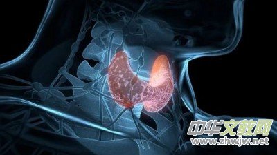 90��00�����p�˲�ϲ�g���Ԓ���V�����N�Ԓ����Ҫ ���r·����