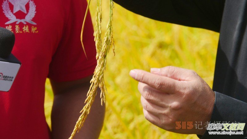 ̼?x��)��x�r(n��ng)�@��Ч �˷������V�|���h(yu��n)�z�����S��