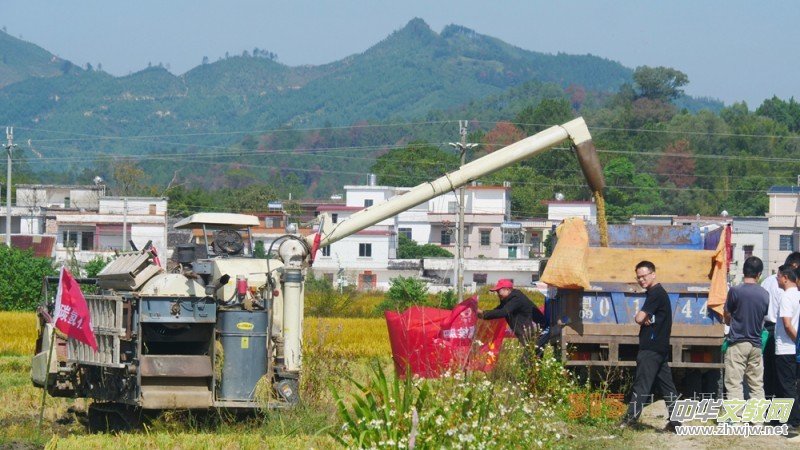 ̼?x��)��x�r(n��ng)�@��Ч �˷������V�|���h(yu��n)�z�����S��