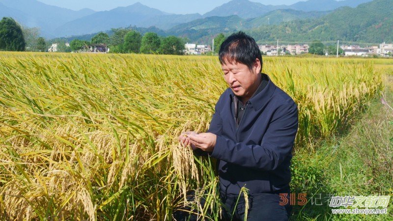 ̼?x��)��x�r(n��ng)�@��Ч �˷������V�|���h(yu��n)�z�����S��