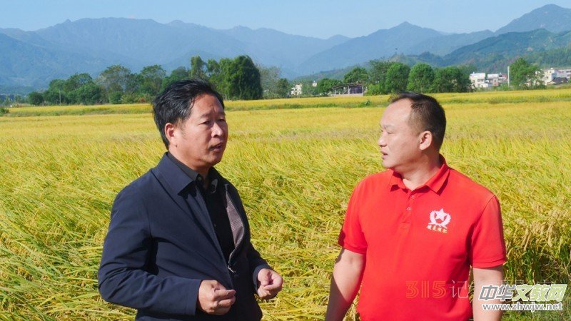 ̼?x��)��x�r(n��ng)�@��Ч �˷������V�|���h(yu��n)�z�����S��