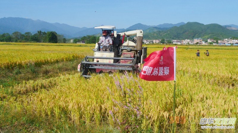 ̼?x��)��x�r(n��ng)�@��Ч �˷������V�|���h(yu��n)�z�����S��