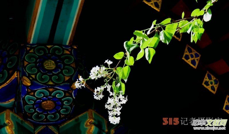 Ц��:���I(l��ng)��ӆ���ڶ�Ԫ�I(l��ng)���������������