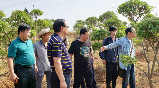 ���Ж|���ǻ� �V���׌W�A�¡���ӛ�����׌W���җ����