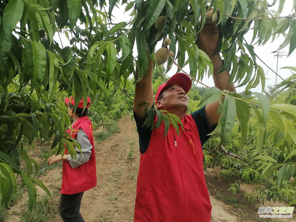 ���ݱ����(zh��n)��־Ը�t�����S�һ������ ���L�l(xi��ng)�����d�D��