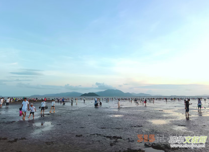 ��Ӱ�T�꣬�P�����z ���� ���w