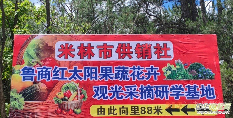 ��ԭ�ϵ��������桪����֥�����̮a(ch��n)�I(y��)�@�Ĳ؅^(q��)�f(xi��)ͬ�l(f��)չ�o(j��)��(sh��)