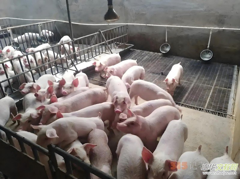 ��ԭ�ϵ��������桪����֥�����̮a(ch��n)�I(y��)�@�Ĳ؅^(q��)�f(xi��)ͬ�l(f��)չ�o(j��)��(sh��)