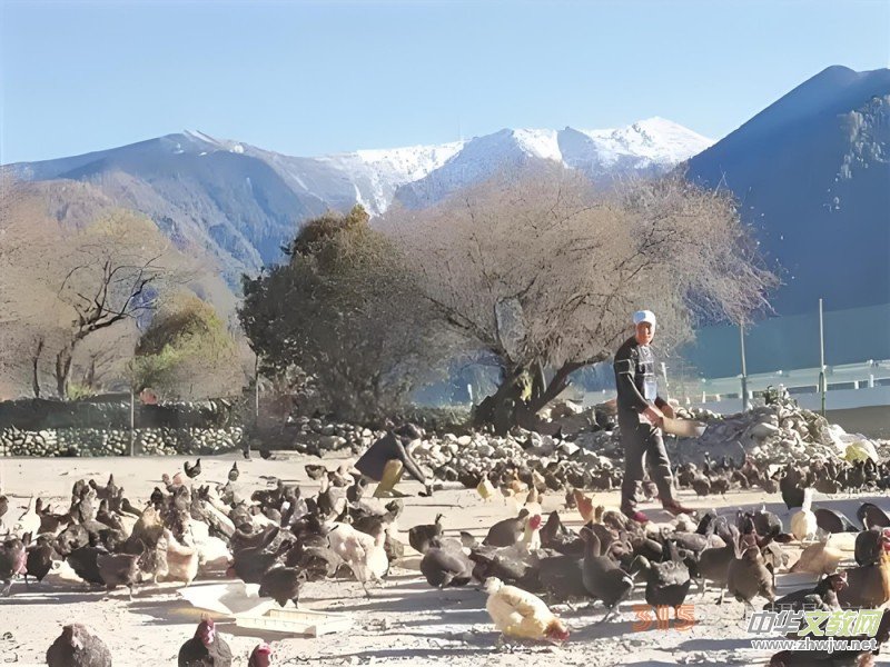 ��ԭ�ϵ��������桪����֥�����̮a(ch��n)�I(y��)�@�Ĳ؅^(q��)�f(xi��)ͬ�l(f��)չ�o(j��)��(sh��)