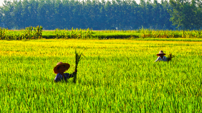 �������æ���S����ϣ��