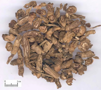 ���S�B�����I��ʳ�e����ˎ