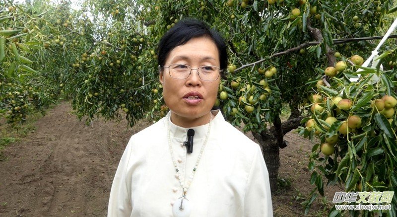 �S�̼?x��)�˷ʶ�������ӭ�S�գ����a(ch��n)�������r(n��ng)�����Gɫ�Nֲ�Y(ji��)�������Ĺ���