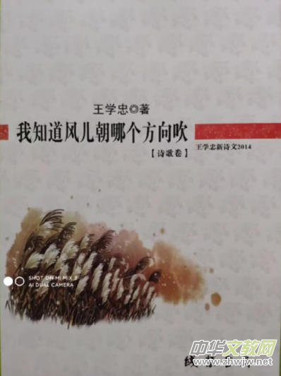 ������Ԋ(sh��)�겻���Ԋ(sh��)ƪ������(ji��n)Փ���W(xu��)�ҵ�Ԋ(sh��)