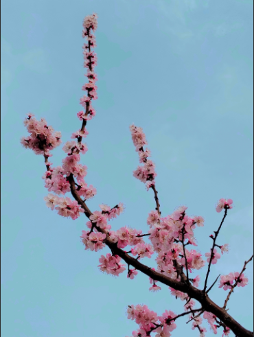 ���������x��