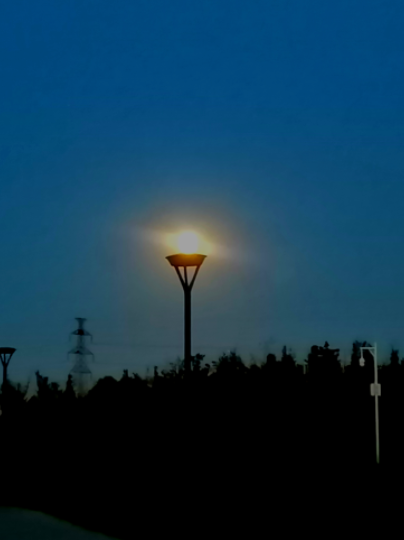 ���������x��