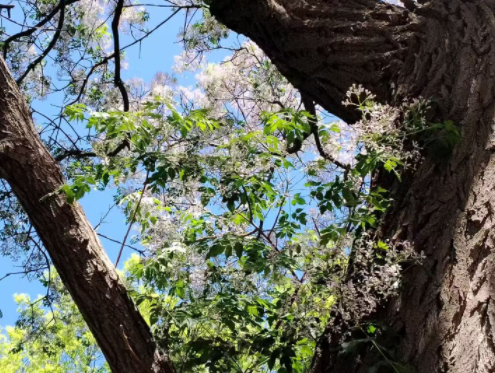 ���������x��