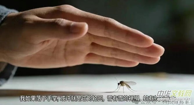 笑琰新詩(shī):冬月二十九的蚊子 笑琰新詩(shī):冬月二十九的蚊子